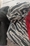 Foulard estampado zebra - Imagen 2